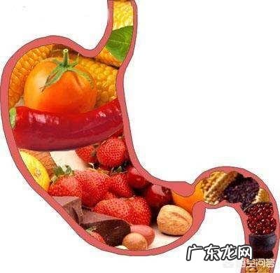 人体一天需要多少蛋白质,糖分,粗纤维?