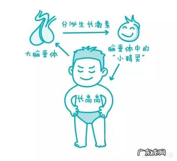 对于3至5岁的小朋友来说,多锻炼就可以不生病吗