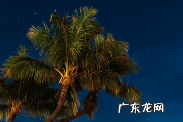 淘宝盗图可以起诉吗?如何投诉?