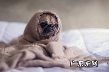 快手店铺退款几次会被限购？如何退款？