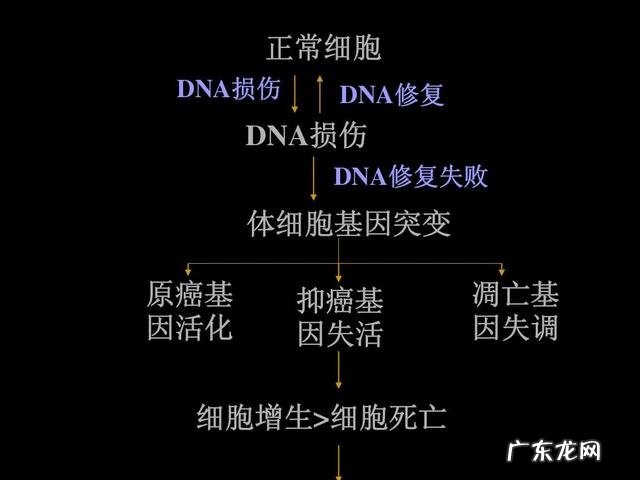 不良生活方式关联癌症,如何践行健康的生活方式