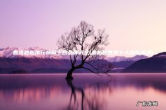 最新的世界十大跑车排名 世界超跑排行榜前十名品牌大全