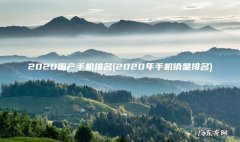 2020年手机销量排名 2020国产手机排名