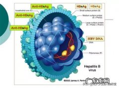 打成人乙肝，疫苗期间可以吃辣吗？要注意什么？