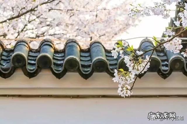 健康管理师究竟吃不吃香?