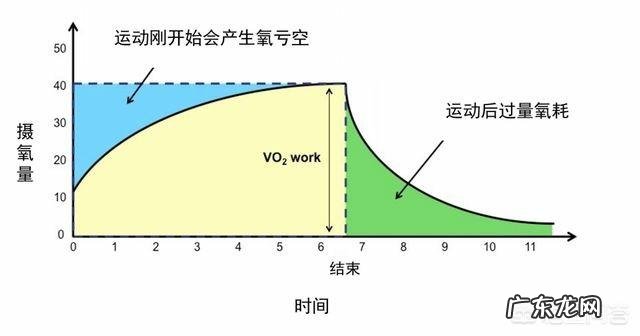 hiit燃脂和跑步哪个减脂效果好 以减脂效果来讲hiit好点还是慢跑好点?