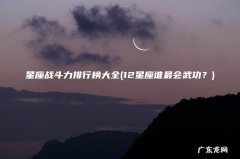 12星座谁最会武功？ 星座战斗力排行榜大全