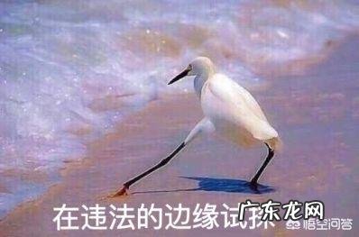 有哪些奇葩搞笑的新闻让你笑到不行？