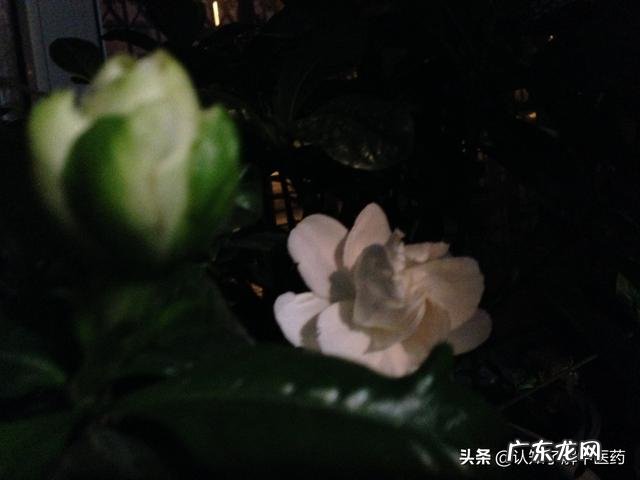 有什么好用的精华液推荐?