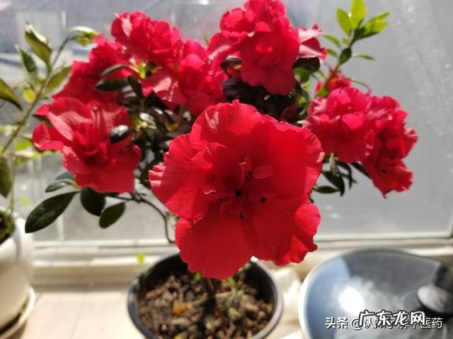 有什么好用的精华液推荐?