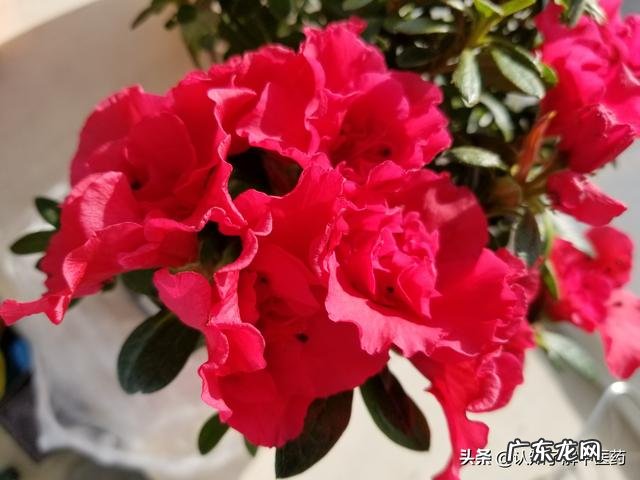 有什么好用的精华液推荐?