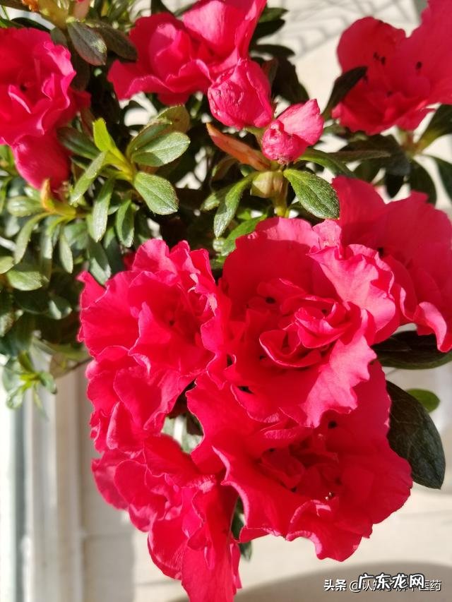 有什么好用的精华液推荐?