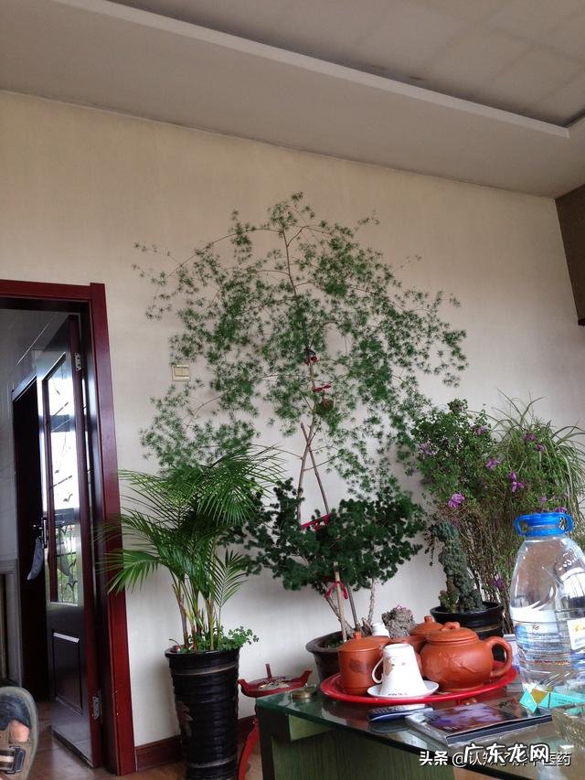 有什么好用的精华液推荐?