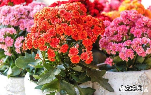 子宫和卵巢切除后,对女人身体有哪些影响?