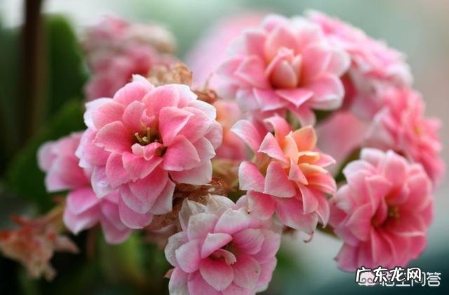 子宫和卵巢切除后,对女人身体有哪些影响?