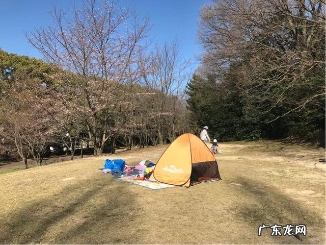 日本人有哪些家居行为,中国人难以理解,实际却很实用