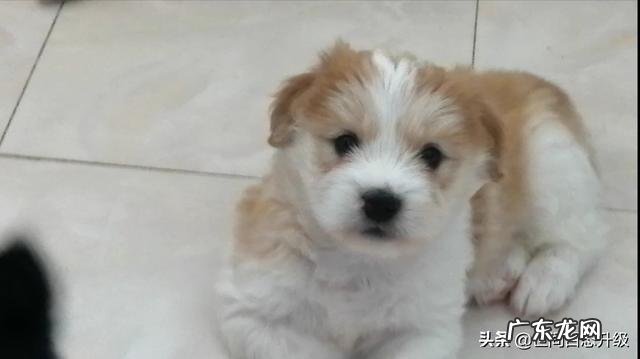 有哪些歌是让你听diyi遍就想哭的？