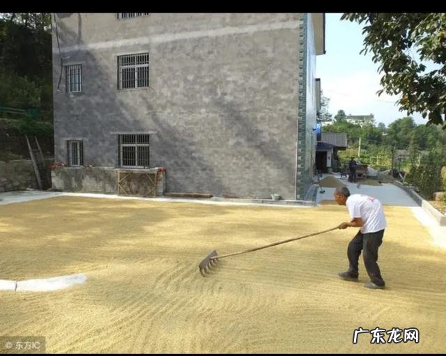 有哪些歌是让你听diyi遍就想哭的?