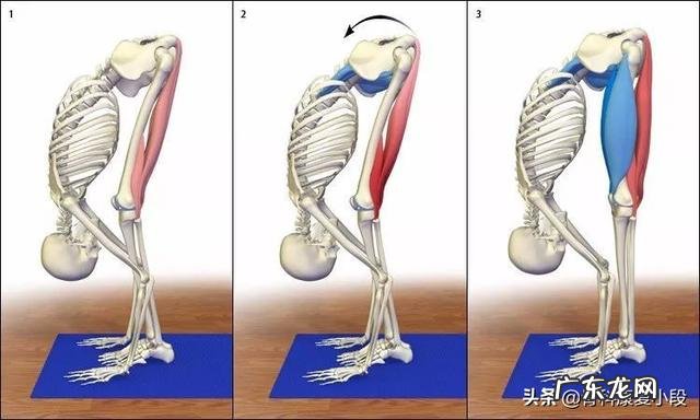 特别容易疲劳是怎么回事？