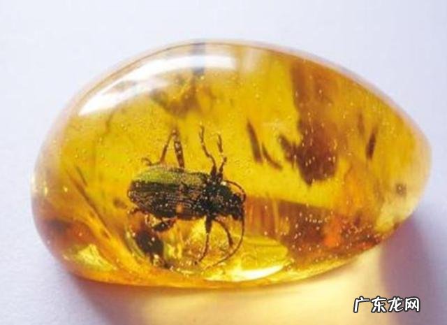 琥珀里的昆虫万年不腐,古人为何不用琥珀来给尸体做防腐?