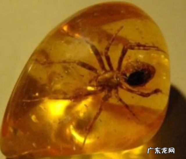 琥珀里的昆虫万年不腐,古人为何不用琥珀来给尸体做防腐?