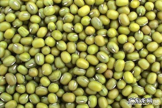 10斤豆浆多少糖 10分斤豆浆加多少白糖?