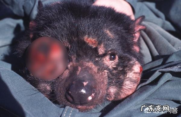 为什么身体很好但是最后却得了癌症