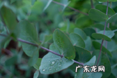 京东清明节送货吗？快递放假吗？