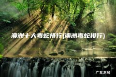 澳洲毒蛇排行 澳洲十大毒蛇排行