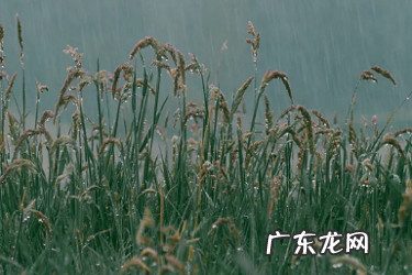 淘宝开店流量和地理位置有关系吗?如何获得流量?