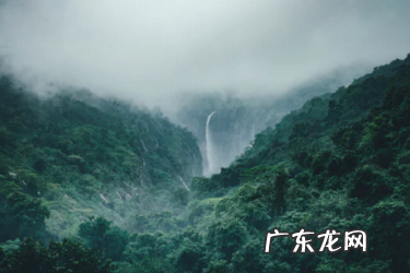 淘特小蜜需要付费吗?有用吗?