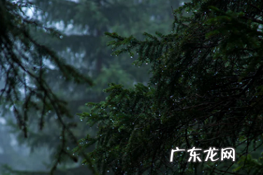 淘宝商品降权的影响是什么?为什么被降权?