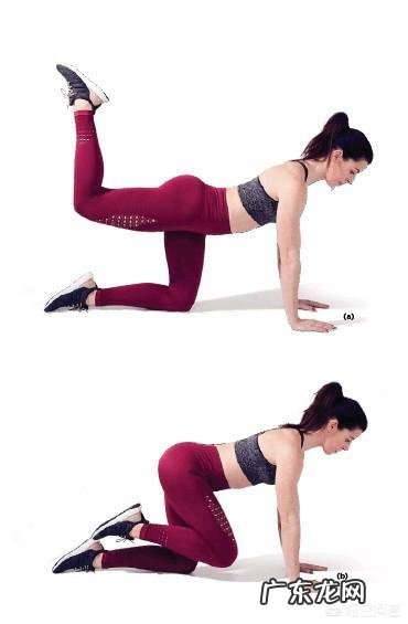 哪些动作是孤立的训练臀部?