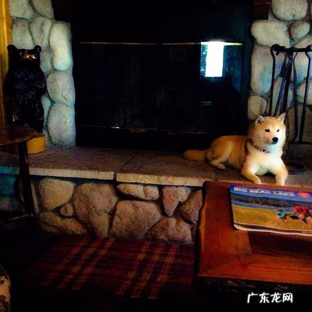 进口麦片什么牌子的比较好?克德拉克好还是卡乐比好？