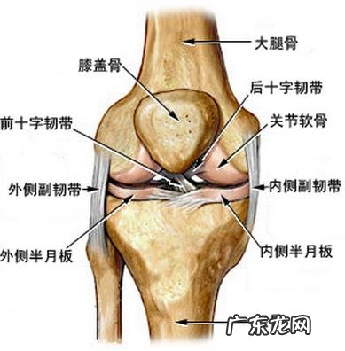 有哪些运动有助于膝盖康复,生活中怎样护膝盖、膝关节
