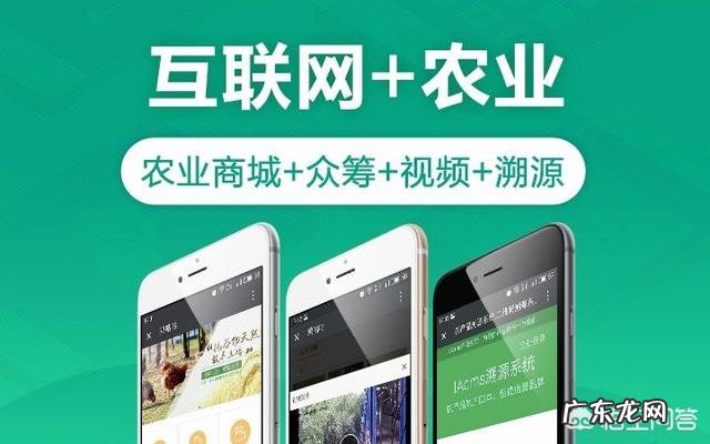 他信和英拉在国外的生活来源是什么?