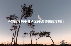 中国语言排行榜? 中文排行榜中文大全