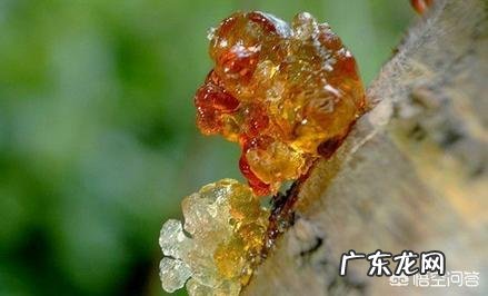 吃桃胶你知道有什么功效吗?