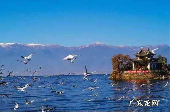 全国旅游排行前十位的城市 国内旅游城市排行榜前十名