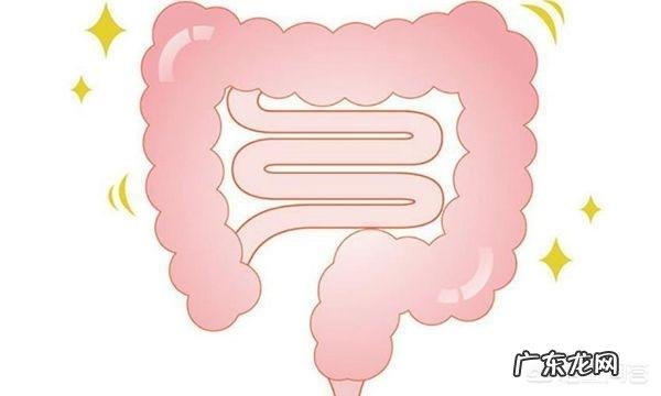 坐长途卧铺大巴是什么体验?