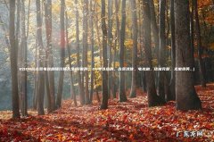 好看的，04年以后的，古装武侠，电视剧，结尾完整，无需搞笑&#8230; 2004后古装电视剧排行