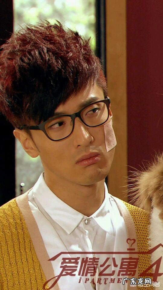 爱情公寓关谷是什么人 爱情公寓里关谷是真的日本人么?