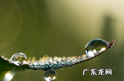 淘宝网店运营怎么操作？如何分析？