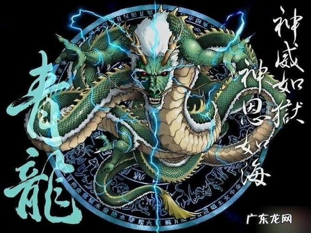 中国古代四大神兽谁飞得最高? 四大神兽排行榜大全图片