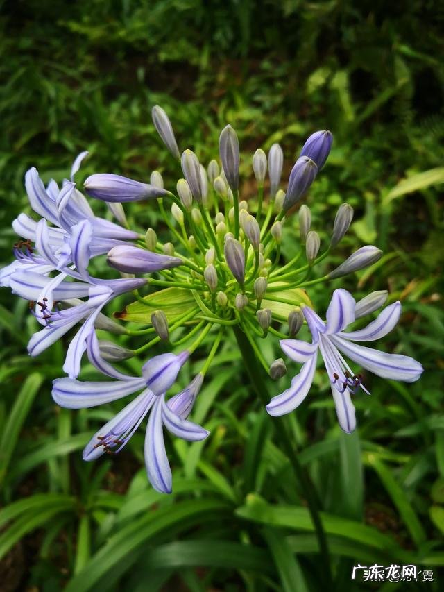 47岁妈妈生日礼物送什么好?