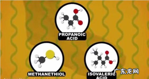 细菌有哪些合成代谢产物与致病性和医药有关的各是哪些