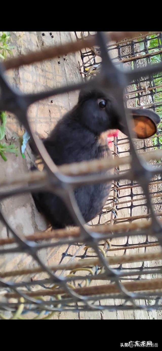 早孕反应严重会影响胎儿发育吗