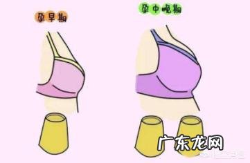 女性月经、怀孕、生育对乳房有什么影响，要注意什么？