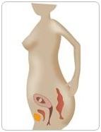 女性月经、怀孕、生育对乳房有什么影响,要注意什么?