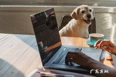 个人淘宝店怎么运营？需要做点什么？